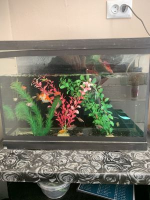 Akvarium sotiladi