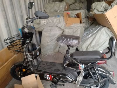 Elektron skuter barcha ranglaridan bor