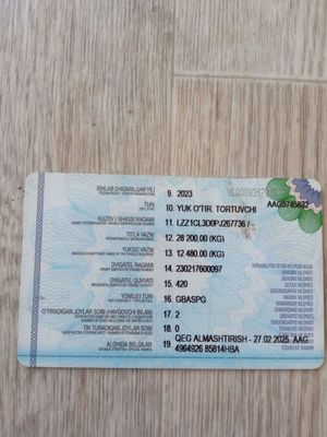 Хово Макс 2023 4х