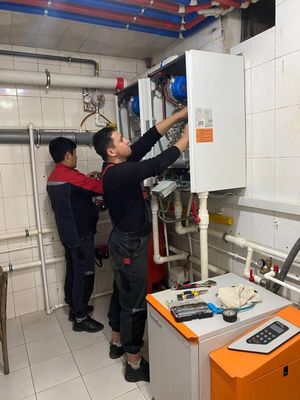 Сервисное обслуживание газового котла