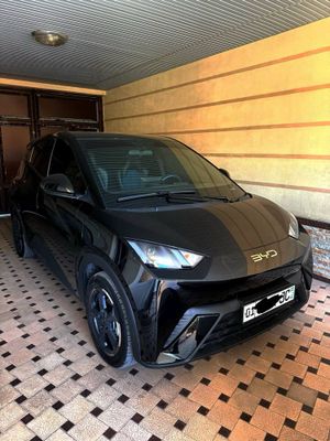 Arenda BYD Seagull 2024