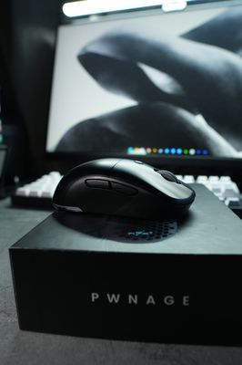 Игровая мышка Pwnage Ambi Ultra Custom