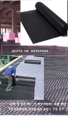 Мембрана, Membrana, membrane