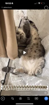 Sotilmaydi, vyazga uchun