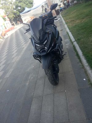 Sukutr sotiladi Cavvalo
