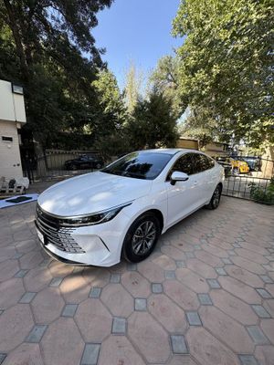 Byd chazor sotiladi