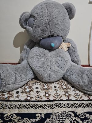 TeDDy ayiq 2 ta bor