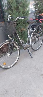 Pegasus 28 razmer