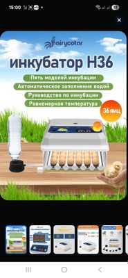 инкубатор автоматический