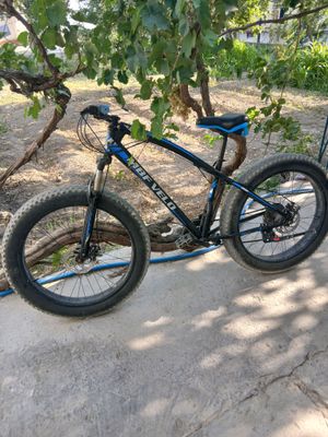velospet sotiladi