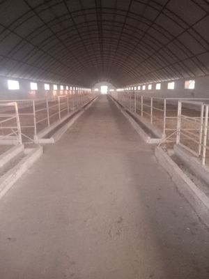 Ohangaron ferma sotiladi