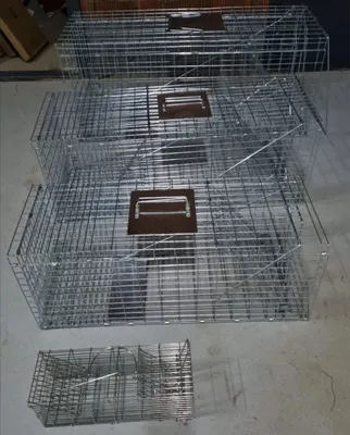 Ловушка для вредителей