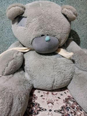 teddiy