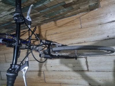 Velo professional