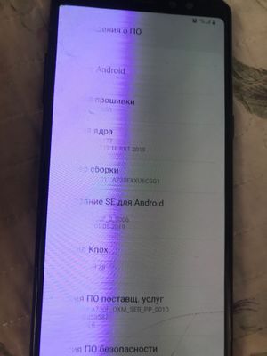 Samsung Galaxy A8+