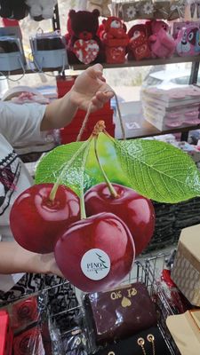 PADAROCHNIY NASKI TURKIYA