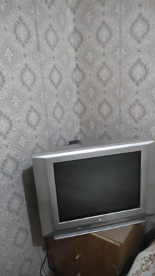 телевизор