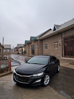 Malibu 2 primier