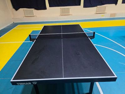 TIBHAR Smash 28/R оригинал Теннис столи (GERMANY)