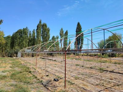 Teplitsa sotiladi 5 sotix