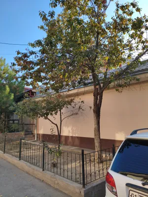 Яккасарай 3,65 сотки , дом