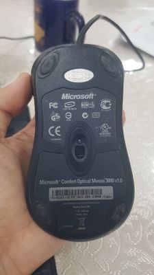 Microsoft mishka
