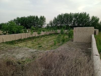 Арзон уй- жой Кадастри бор