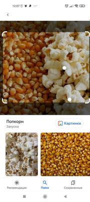 Кукуруза для поп корна