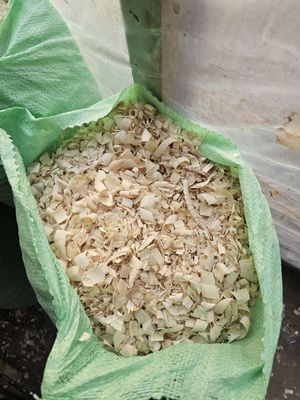 Yirik apilla, quruq, tolniki, qoplangan