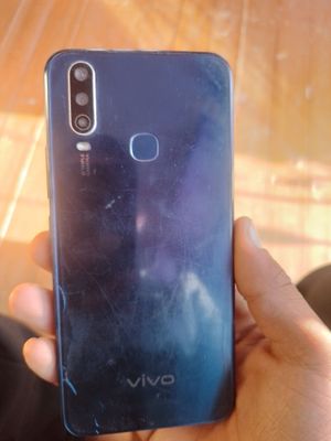 vivo