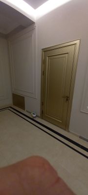 Межкомнатные двери МДФ ШПОН крашеные под заказ, любые размеры