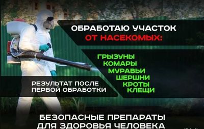 Dezinfeksiya klapa, tarakan | dizinfeksiya dizenfeksiya dezenfeksiya
