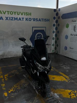 Xolat yaxw
