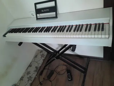 Цифровое пианино Blanth 088