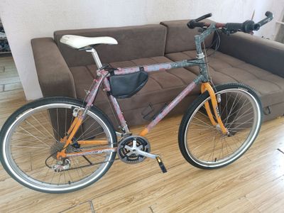 velo professional
