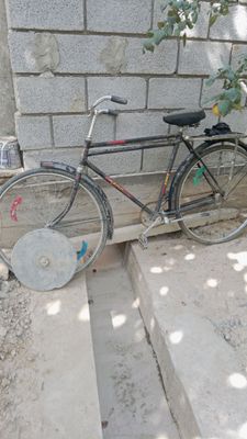 500.000 velosepet