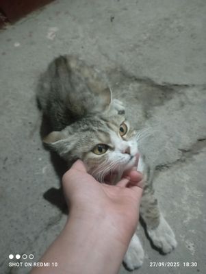 uy mushugi manzil Andijon shahar fasad yoni