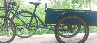Velosiped yuk uchun zoʻr