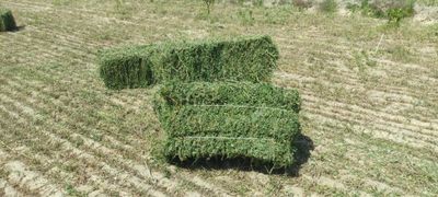 Бухоро вилояти Рометан туманида Беда пресс сотилади