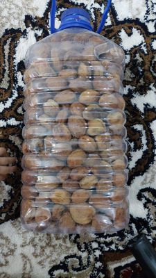 kursodiq turshak