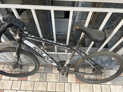 26li nasos telifon quyedigon bor