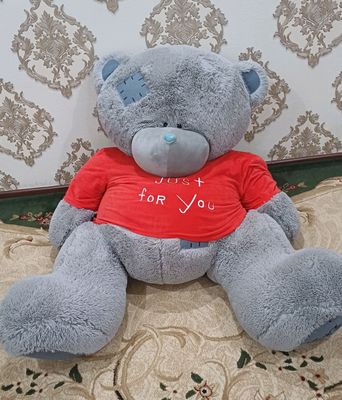 Teddy ayiq