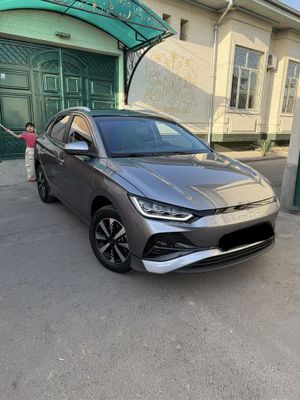 Byd e2 Luxury 405 km
