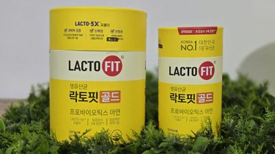 Lacto-Fit Gold Original (Korea)