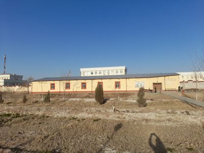 Нукус каласында 1000кв здания арендага бериледи