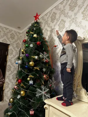 Ёлка новогодняя