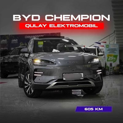 _BYD _Champion edition___ комфорт