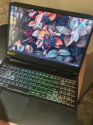 ACER Nitro 5 3070 8GB