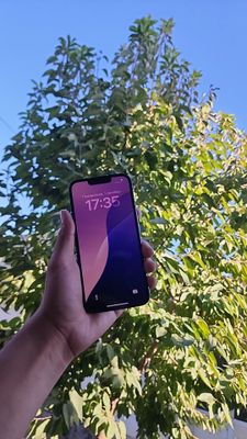 iphone 13pro