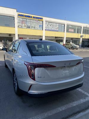 HONGQI E-QM5 pilus